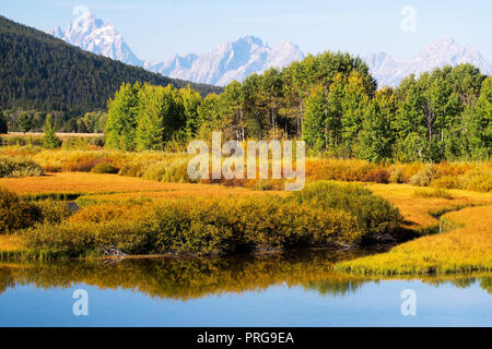 Herbst Blick von Oxbow Bend im Grand Teton National Park Stockfoto