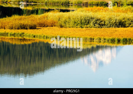 Herbst Blick von Oxbow Bend im Grand Teton National Park Stockfoto