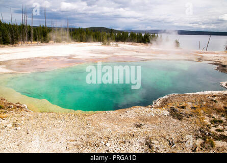 Kleine Feder an der West Thumb Geyser Basin im Yellowstone National Park. Stockfoto