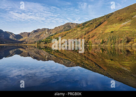 Reflexionen in Llyn Crafnant am Rand des Gwydir Forest, südwestlich mit dem Craig Wen Berg in der Nähe von Llanwrst Snowdonia North Wales UK Stockfoto