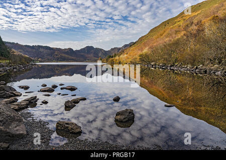 Reflexionen in Llyn Crafnant am Rand des Gwydir Forest, südwestlich mit dem Craig Wen Berg in der Nähe von Llanwrst Snowdonia North Wales UK Stockfoto