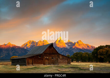 Eine der Molton Scheunen auf Mormon Zeile am Grand Teton National Park. Stockfoto