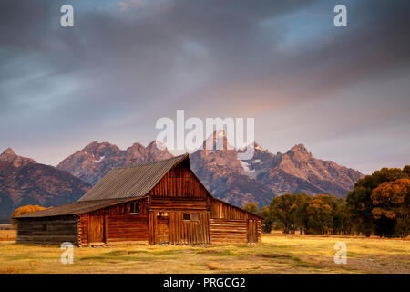 Eine der Molton Scheunen auf Mormon Zeile am Grand Teton National Park. Stockfoto