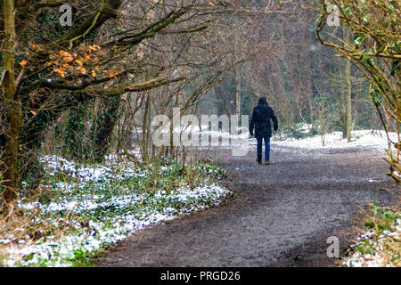 Ein Mann entlang Park entfernt, einem Naturschutzgebiet im Norden von London, an einem verschneiten Tag Stockfoto