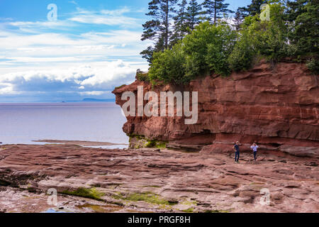 BURNTCOAT KOPF PARK, Nova Scotia, Kanada - Blick auf die Bucht von Fundy Ebbe. Burntcoat ist Standort der weltweit höchsten Gezeiten. Stockfoto