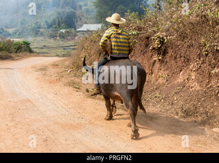 YANGON/MYANMAR - 10. FEBRUAR 2016: Indische ausgebildete Landwirt in seinem Zuckerrohr Feld, ländlichen Dorf Salunkwadi, Ambajogai, Beed, Maharashtra, Indien, Süd Stockfoto