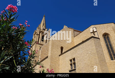 Die Kollegiale Kirche Saint Laurent ist ein ausgezeichnetes Beispiel des französischen Meridionale gotischen Stil. Salon-de-Provence, Frankreich Stockfoto