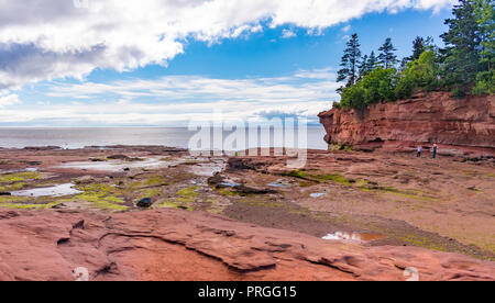 BURNTCOAT KOPF PARK, Nova Scotia, Kanada - Blick auf die Bucht von Fundy Ebbe. Burntcoat ist Standort der weltweit höchsten Gezeiten. Stockfoto