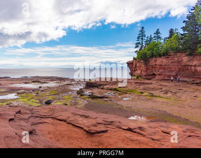 BURNTCOAT KOPF PARK, Nova Scotia, Kanada - Blick auf die Bucht von Fundy Ebbe. Burntcoat ist Standort der weltweit höchsten Gezeiten. Stockfoto