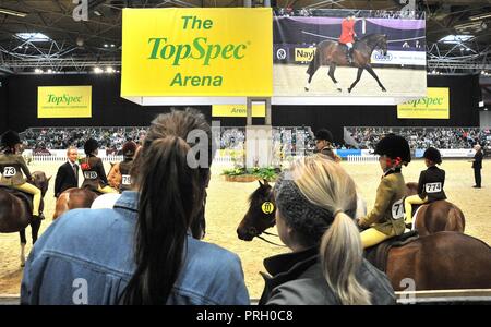 Birmingham, Großbritannien. 3. Oktober, 2018. Die Topspec Arena. Pferd des Jahres zeigen (HOYS). National Exhibition Centre (NEC). Birmingham. UK. 03/10/2018. Credit: Sport in Bildern/Alamy leben Nachrichten Stockfoto