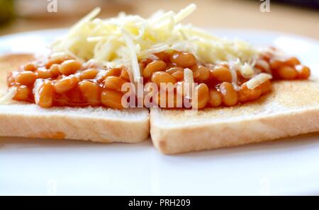 Gebackene Bohnen auf Toast überbacken mit Geriebener Cheddar-Käse Stockfoto