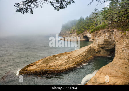 Dramatische Felsen am Cape Flattery bei Nebel, Makah Indianer Reservation, Olympic Peninsula, Washington State, USA Stockfoto