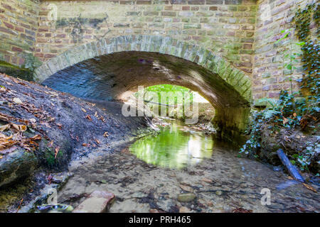 Kleiner Fluss in der Mitte des in Kelmonderbos mit einer steinernen Brücke in Beek Süd Limburg in den Niederlanden Holland Stockfoto