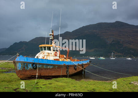 Loch Duich, Wester Ross, Schottland, Vereinigtes Königreich Stockfoto