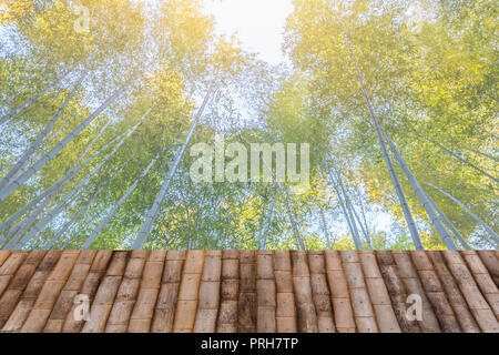 Bamboo Forest Grove Hintergrund mit Holz- Tabelle für die Anzeige. Stockfoto