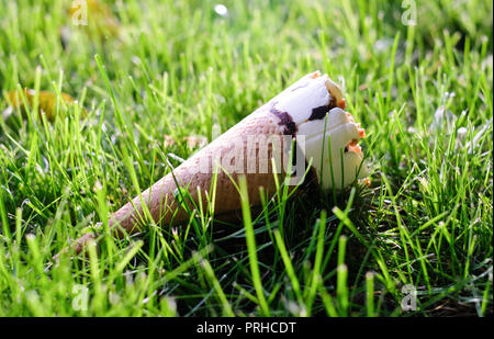 Appetitlich cremiges Eis in der Waffel Kegel liegt auf einer saftigen grünen Gras. Lecker Sommer behandeln. Stockfoto