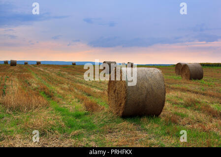 Feld in der Vojvodina, Serbien, mit Heu Ballen bei Sonnenuntergang Stockfoto