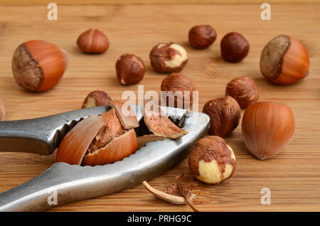 Gebrochene Haselnuss in Nussknacker auf hölzernen Hintergrund und einige Haselnüsse um Stockfoto