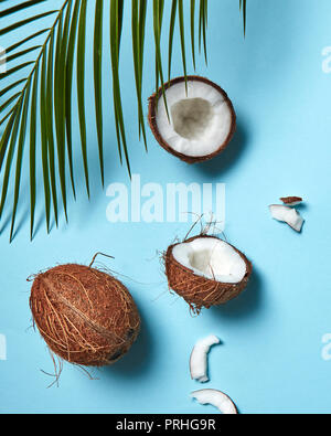 Teile und ganze Kokosnuss mit Palm grünes Blatt auf einem blauen Hintergrund Kopie Platz für Text. Die Zusammensetzung von Lebensmitteln. Flach Stockfoto