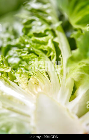 Makro Foto von frischem Grün Hälften von Kohl. Gesunde vegetarische Nahrung. Stockfoto