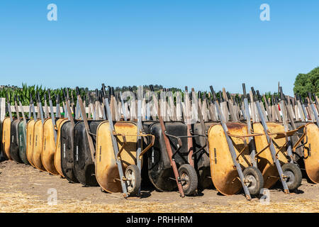 Moorpark, Kalifornien, USA - 30. September 2018: Nahaufnahme von großen Gruppe von senkrecht angehoben. Gelb und Schwarz, Schubkarren, an Harvest Festival gestapelt Stockfoto
