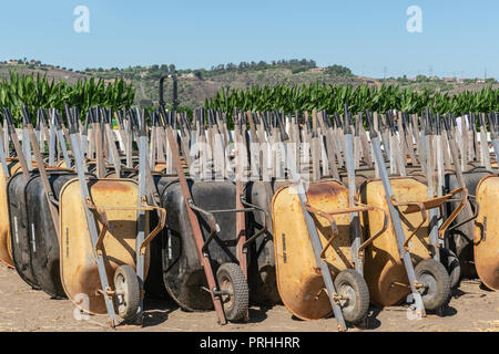 Moorpark, Kalifornien, USA - 30. September 2018: Nahaufnahme von großen Gruppe von senkrecht angehoben. Gelb und Schwarz, Schubkarren, an Harvest Festival gestapelt Stockfoto