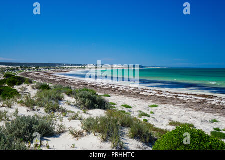 Leeren weißen Sandstrand an der Küste der Great Southern Ocean bei Eucla Western Australia Stockfoto