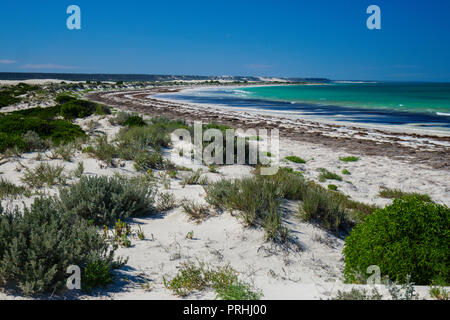 Leeren weißen Sandstrand an der Küste der Great Southern Ocean bei Eucla Western Australia Stockfoto