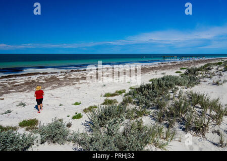 Leeren weißen Sandstrand an der Küste der Great Southern Ocean bei Eucla Western Australia Stockfoto