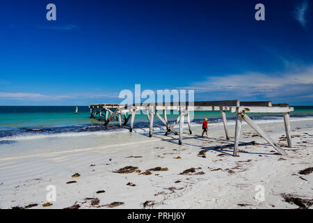 Die Ruinen der alten historischen Holzsteg auf der Küstenlinie bei Eucla Western Australia Stockfoto