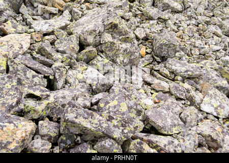 Der Blick auf eine große Anzahl von grauen Steine aus dem Berg bei Steinschlag bedeckt mit farbigen Moos gefallen Stockfoto