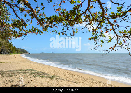 Malerischer Blick auf Trinity Beach, Cairns Northern Beaches, Far North Queensland, FNQ, QLD, Australien Stockfoto