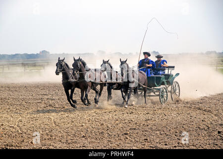 Reitsport in der Region Puszta in Ungarn Stockfoto