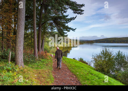 Mensch & Tier Hunde entlang Pfad von der malerischen, ruhigen, von Bäumen gesäumten See, unter blauem Himmel - Fewston Reservoir, Washburn Tal, North Yorkshire, England, UK. Stockfoto