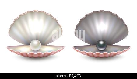 Vektor realistische 3D-schönen natürlichen geöffnet Pearl Shell mit Perlen in weiß und schwarz Icon Set close-up auf weißem Hintergrund. Design Template von Muscheln für Grafiken. Ansicht von vorn Stock Vektor