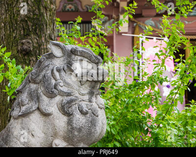 Japanische Guardian Lion-Dog an einem Tempel. Bronzestatue, Nahaufnahme des Gesichts und der Zähne mit Schrein im Hintergrund. Stockfoto