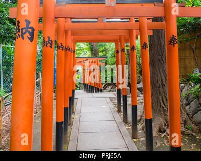 Tokio, Japan. September 10, 2018: Ein Ansatz für die Gojyo Tenjin Schrein und der Hanazono Inari Schrein in Ueno Park in den frühen Morgenstunden. Stockfoto