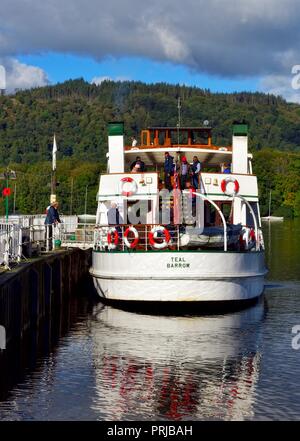 MV Teal, Dampfgarer, den Lake District, Bowness on Windermere, Cumbria, England, Großbritannien Stockfoto