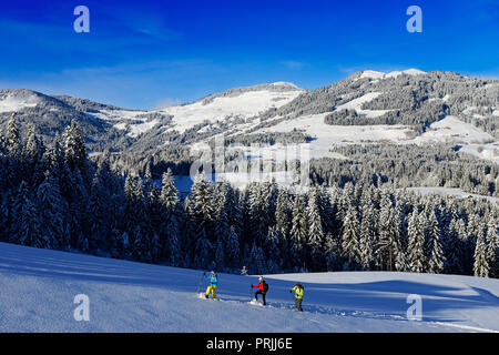 Schneeschuhwanderer, Gruberberg, Hopfgarten, Kitzbüheler Alpen, Tirol, Österreich Stockfoto