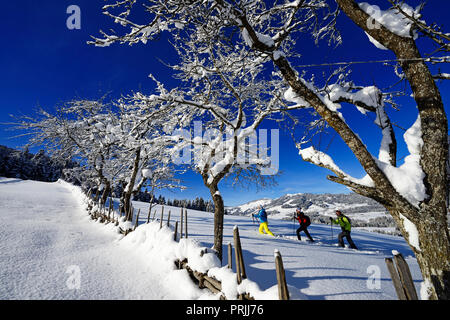 Schneeschuhwanderer, Gruberberg, Hopfgarten, Kitzbüheler Alpen, Tirol, Österreich Stockfoto