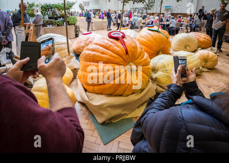 London, Großbritannien. 2. Okt 2018. RHS Harvest Festival zeigen. Credit: Guy Corbishley/Alamy leben Nachrichten Stockfoto