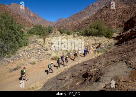 Wanderer am Brandberg, Erongo Region, Namibia Stockfoto