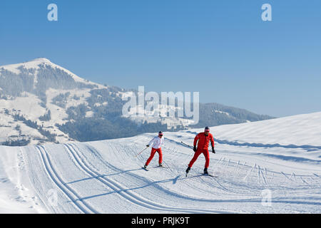 Langläufer am Penningberg mit Ausblick auf die Hohe Salve, Hopfgarten, Kitzbüheler Alpen, Tirol, Österreich Stockfoto