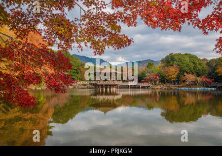 Malerische Aussicht von Nara öffentlichen Park im Herbst, mit Ahorn Blätter, Teich und alten Pavillon, in Japan Stockfoto