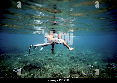 Unterwasseransicht von Surfer sitzen auf Surfboard warten auf Wellen über Coral Reef in Sumatra, Indonesien Stockfoto