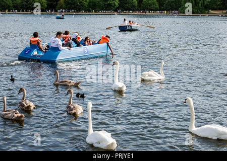 London England, UK Royal Parks, Hyde Park, Grünfläche, das Serpentine, Erholungssee, Tretboot, Asiaten Mann Männer männlich, Frau weibliche Frauen, Mädchen gir Stockfoto