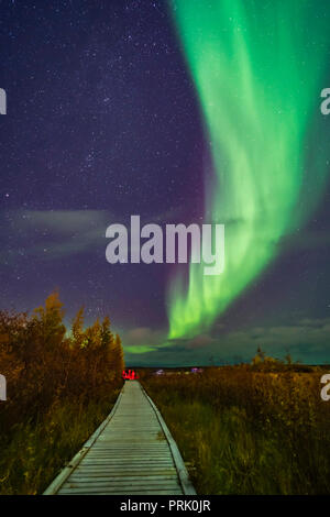 Eine aurora Gruppe nimmt ihre Aurora selfie Schüsse auf dem Boardwalk an Rotary Park in Yellowknife, NWT, unter einer grossen Schleife von einem polarlicht Arc. Dieser wa Stockfoto