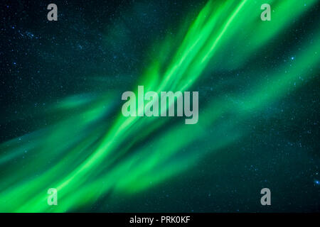 Auroraartige Vorhänge im Zenith, mit Schattierungen von Grün und Cyan, aus der Anzeige des September 8, 2018 von der Tibbitt See in der Nähe von Yellowknife genommen Stockfoto