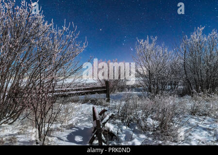 Orion rising im Mondlicht über einen alten Zaun und Farm in meinem Haus in Southern Alberta implementieren, in der sehr kalten und frostigen -20°C Nacht Januar Stockfoto