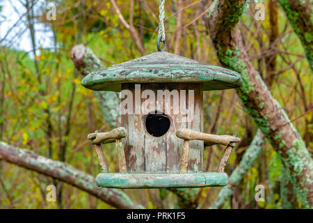 Niedlich und klassische Zylinder Holz Vogelhaus hängend an einem Baum im Wald. Stockfoto